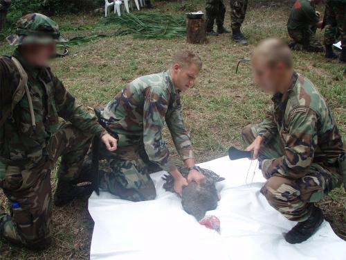 cursus zelfvertrouwen